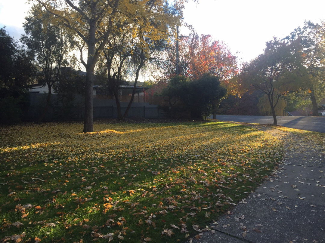 Yackandandah Central主图