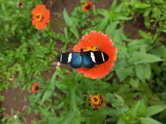 Clases de cocina Pekari.-Pital必去景点
