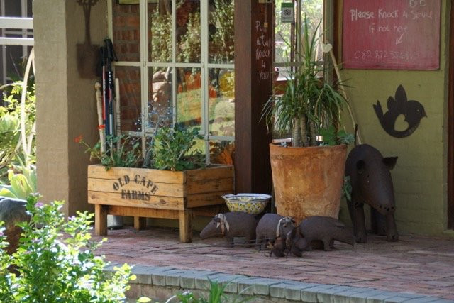 Aasvoelkrans Bed and Breakfast主图