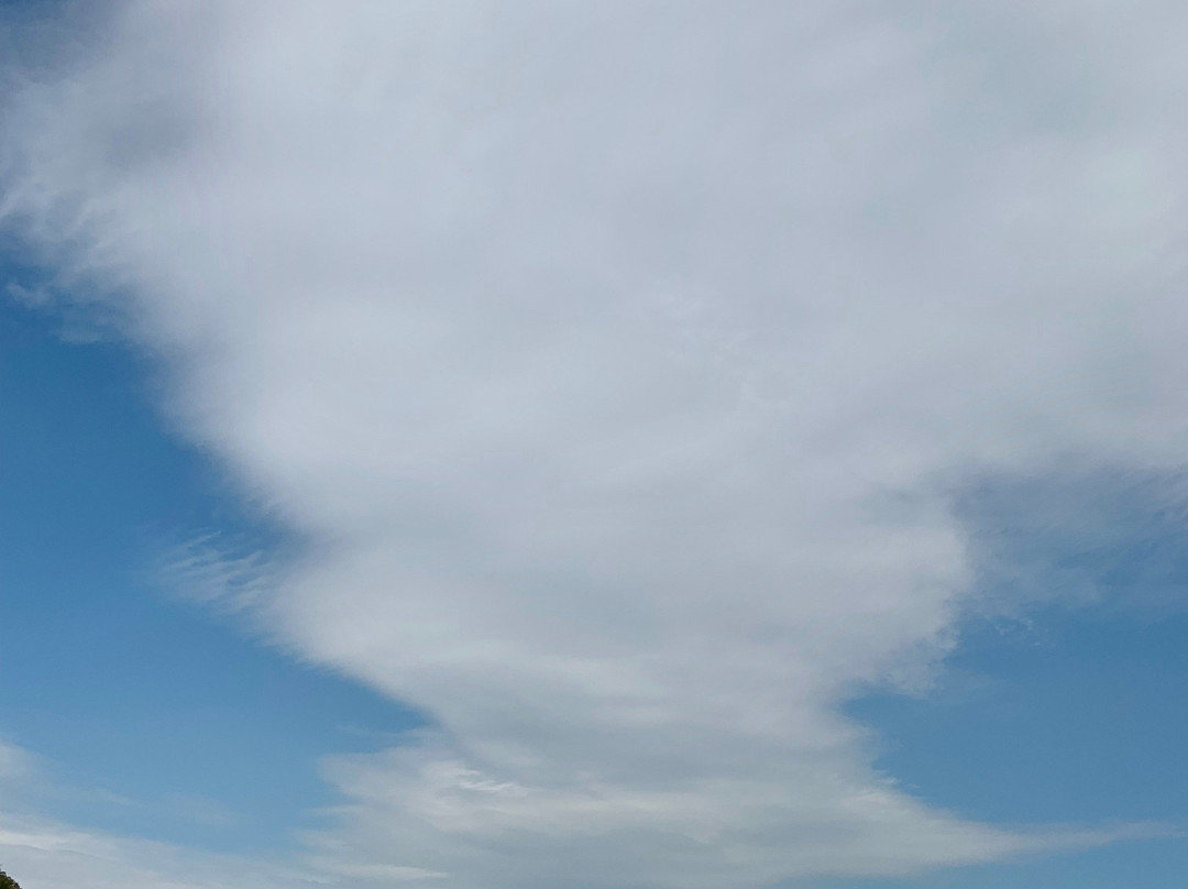 Ross Dock Picnic Area-利堡必去景点