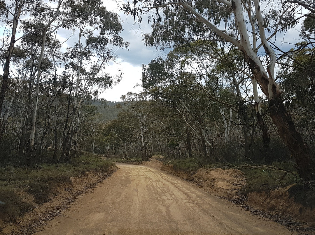 Namadgi National Park-堪培拉必去景点