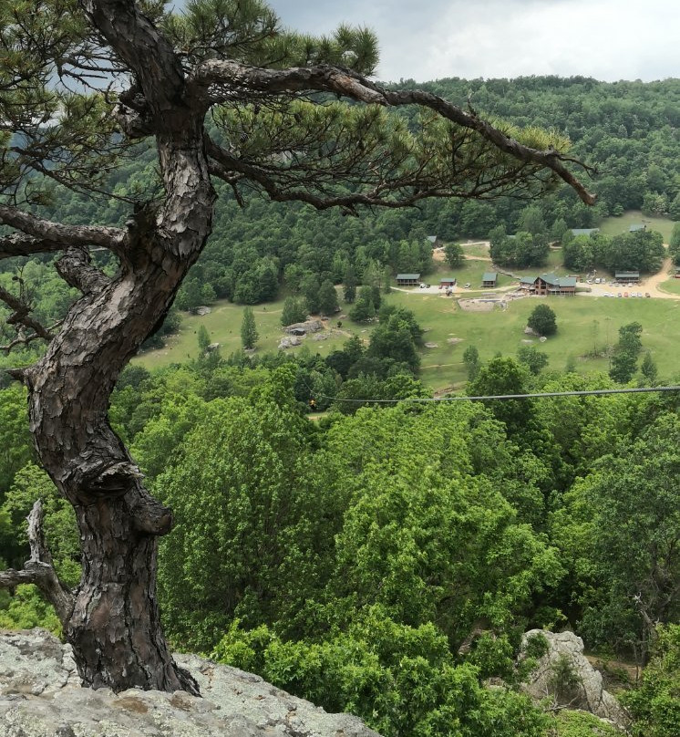 Horseshoe Canyon Ranch Zipline景点图片