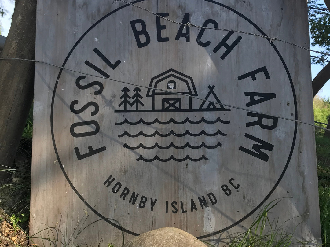 Fossil Beach Farm景点图片