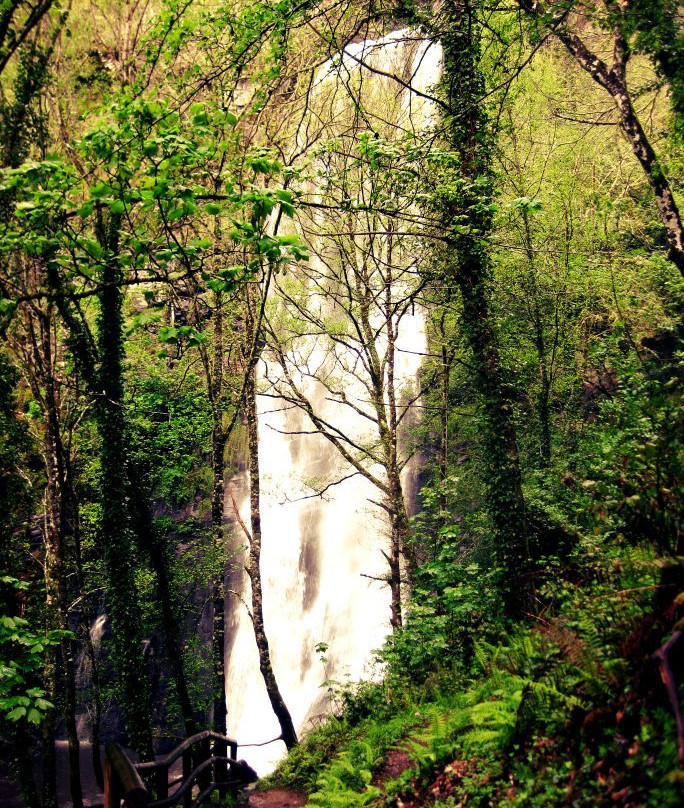 Cascada A Seimeira de Vilagocende景点图片