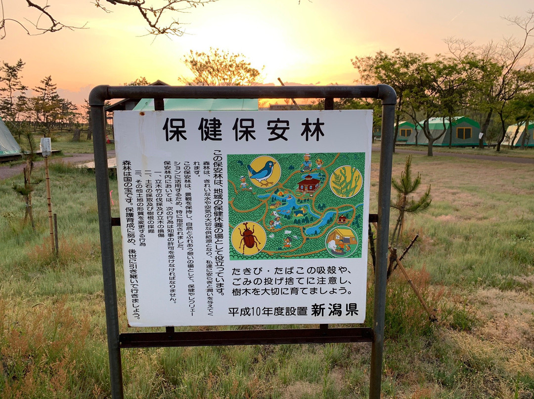 Umibenomori Campsite主图