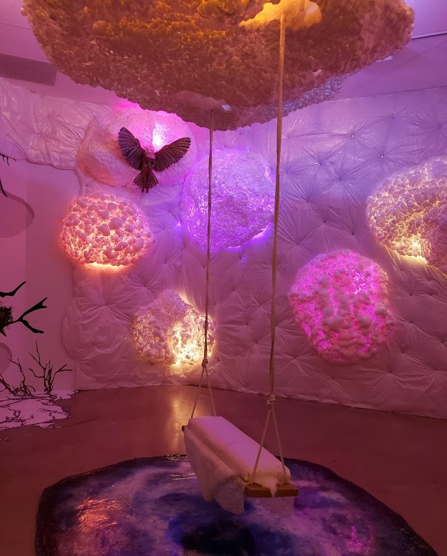 Museum of Outdoor Arts-恩格尔伍德必去景点