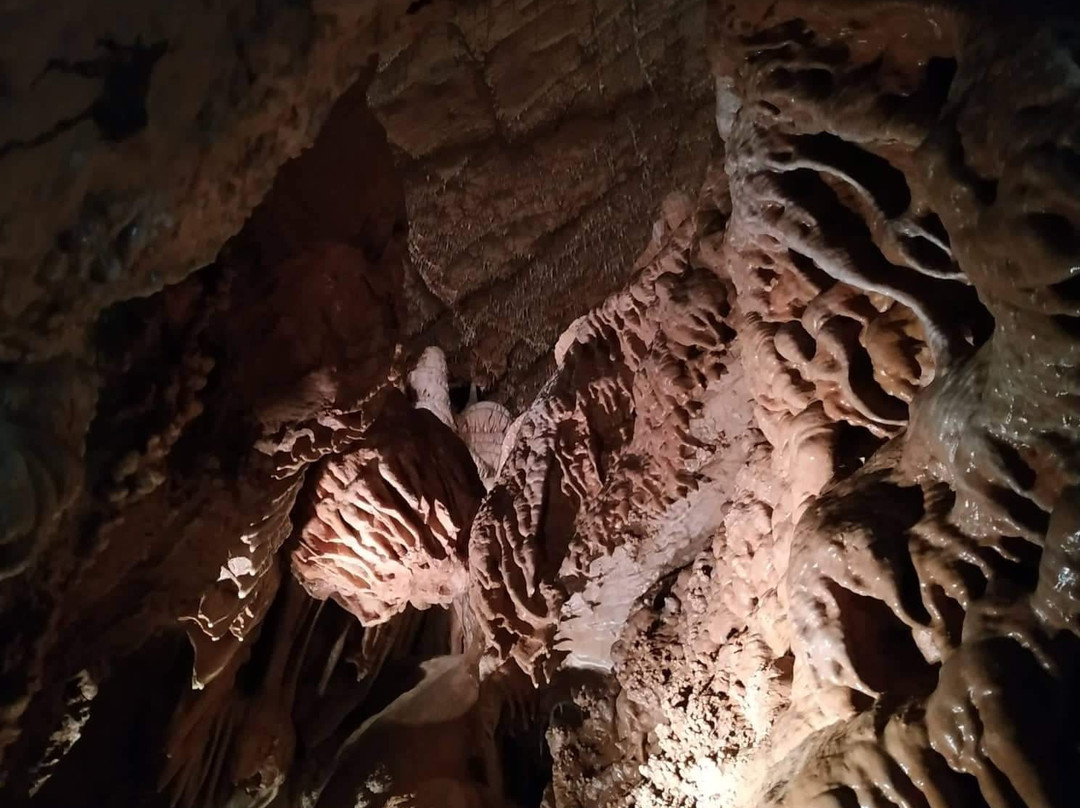 Cave Balcarka-Ostrov u Macochy必去景点