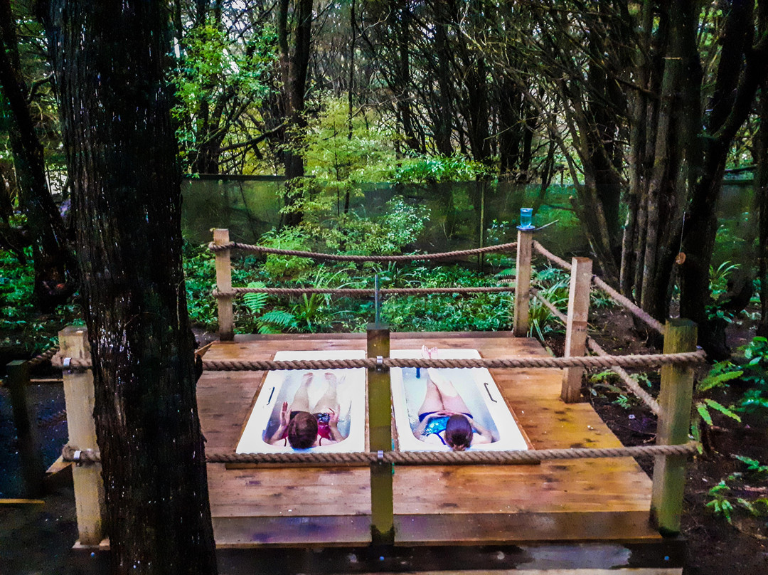 Fern and Feather Retreat-因弗卡吉尔必去景点