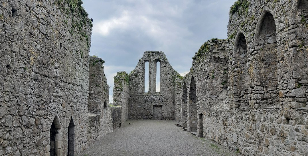 Castledermot Friary景点图片