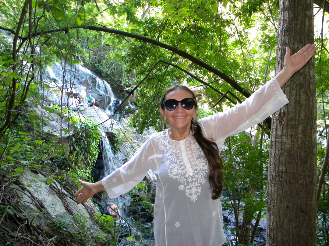 Cachoeira do Roncador景点图片