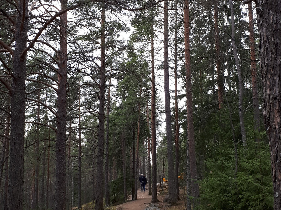 Mannerheimin patsas-坦佩雷必去景点