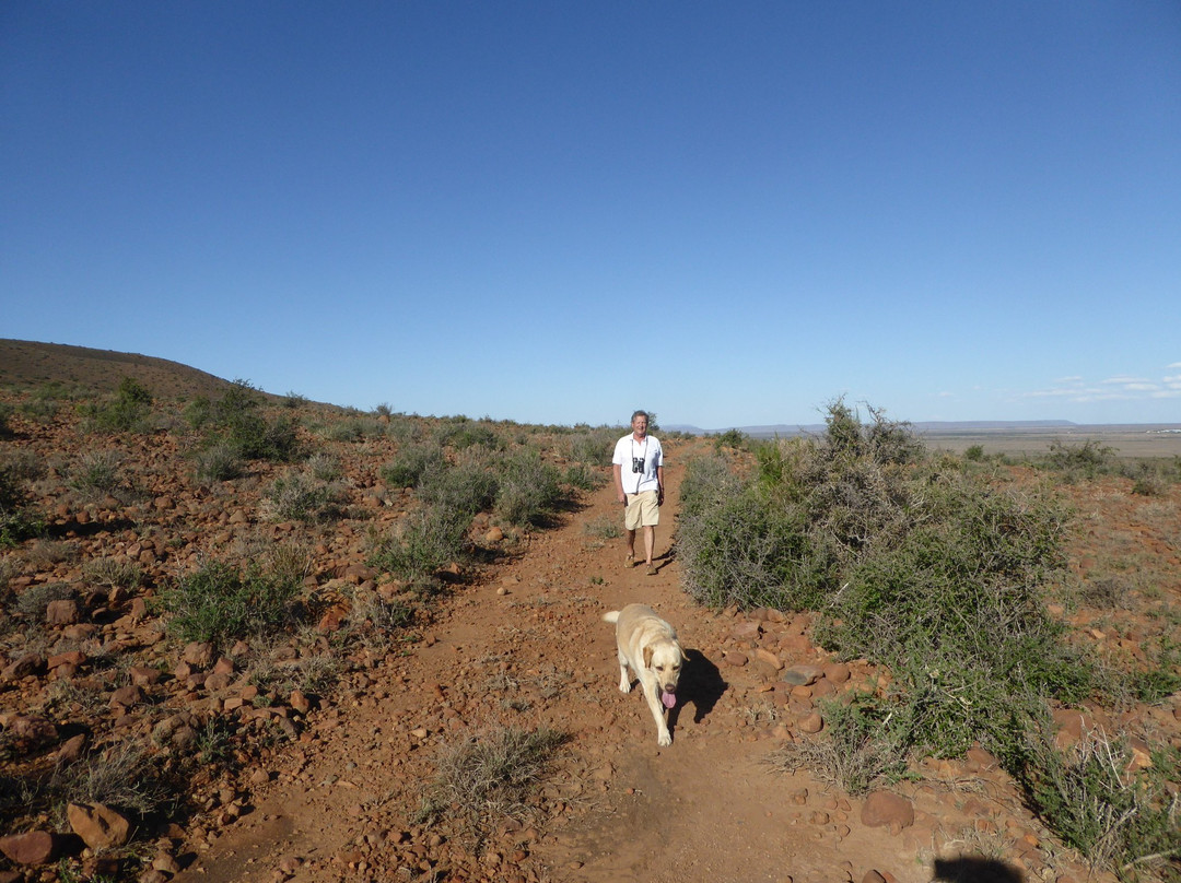 Lemoenfontein Game Lodge主图