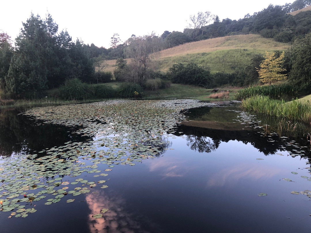 Twin Pools Lodge Bed & Breakfast主图