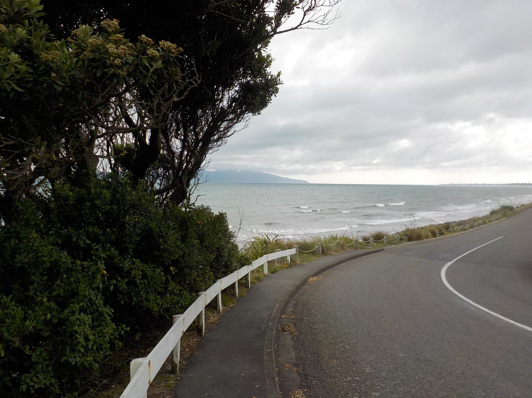Paekakariki Beach景点图片