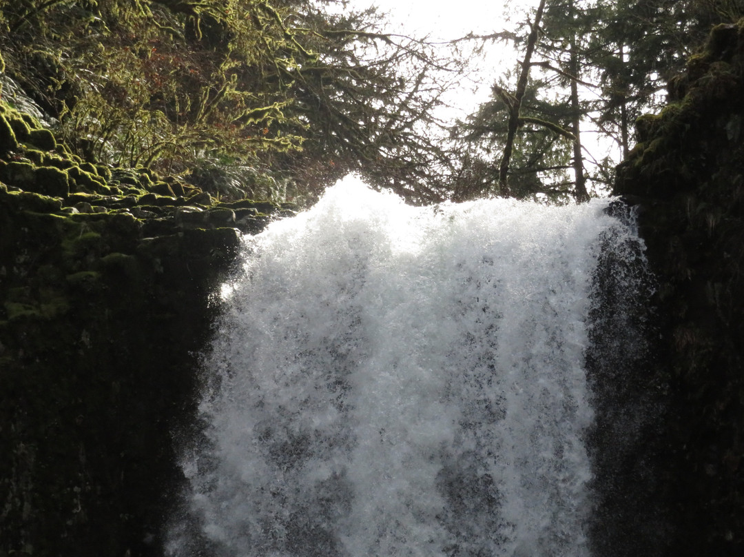 Abiqua Falls Trail景点图片