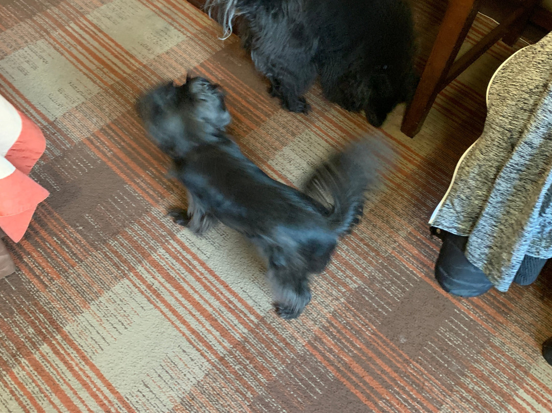 Super 8 by Wyndham Kennewick主图