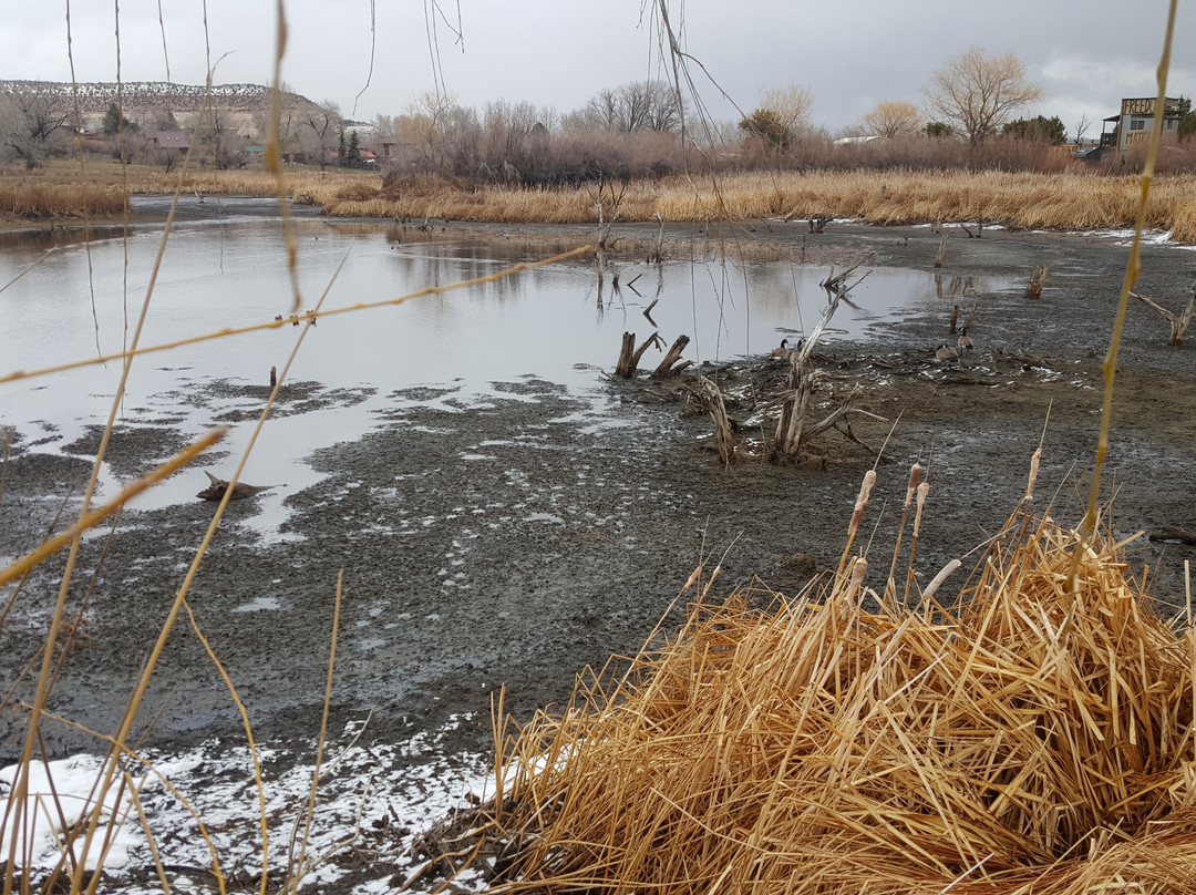 Boulder Mountain Lodge主图