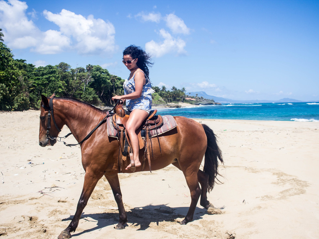 Equestrian Center at Sea Horse Ranch景点图片