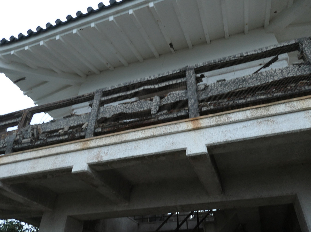 Mt. Daikoku Viewing Platform-锯南町必去景点