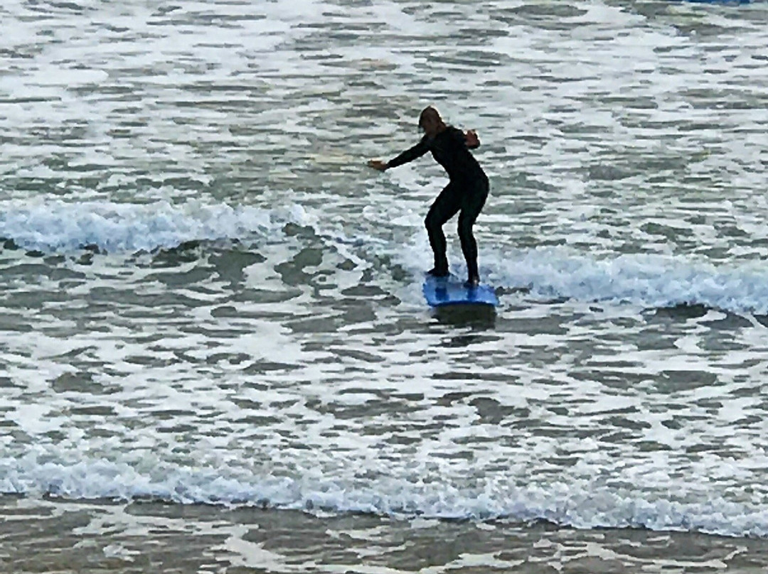 Catlins Surf School-Curio Bay必去景点