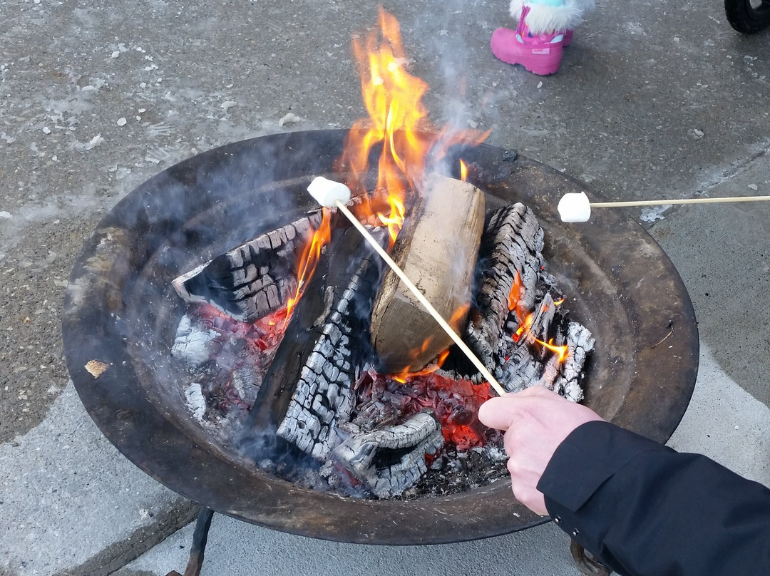 Living Arts Centre-米西索加必去景点