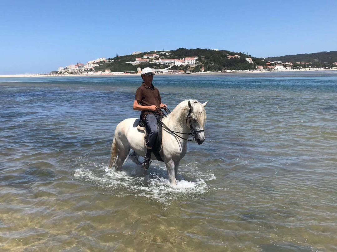 Quinta do Pinheiro Manso景点图片