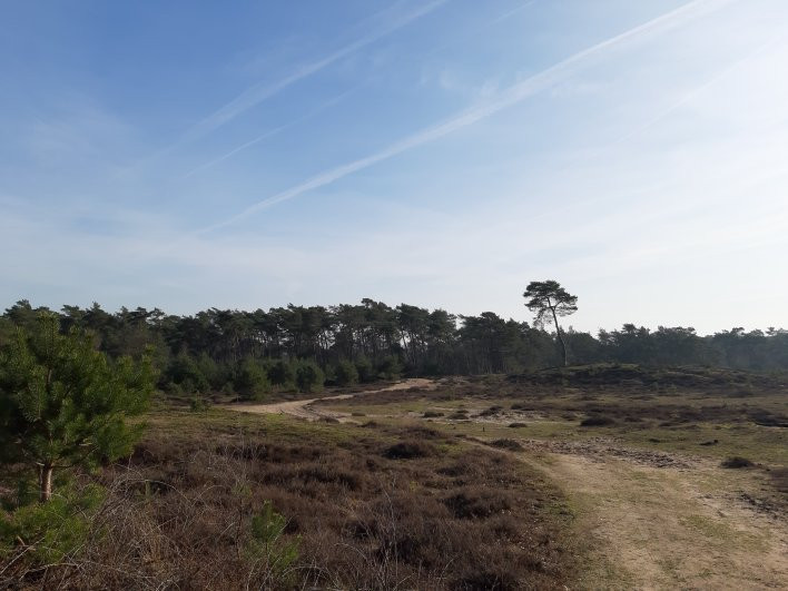 Nationaal Park Utrechtse Heuvelrug-Utrechtse Heuvelrug必去景点
