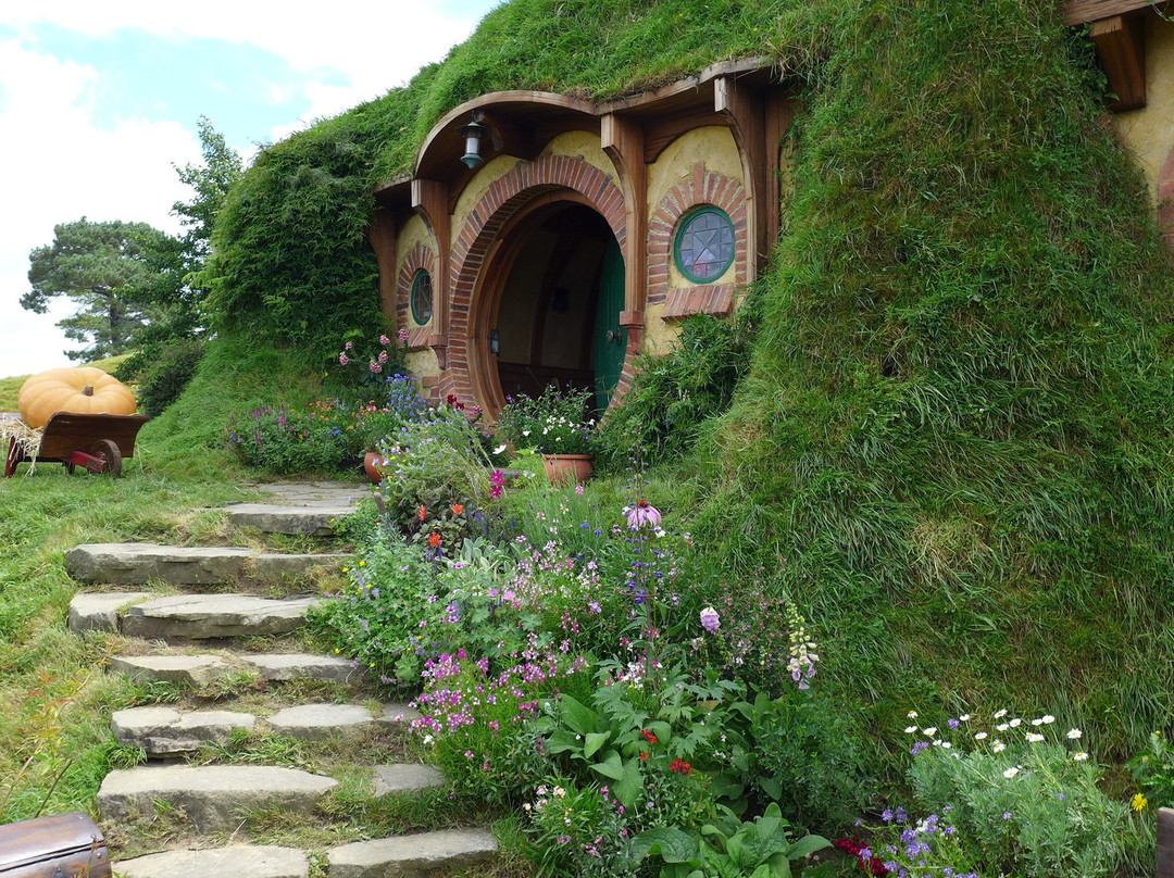 Cruise Tours to Hobbiton And Rotorua景点图片