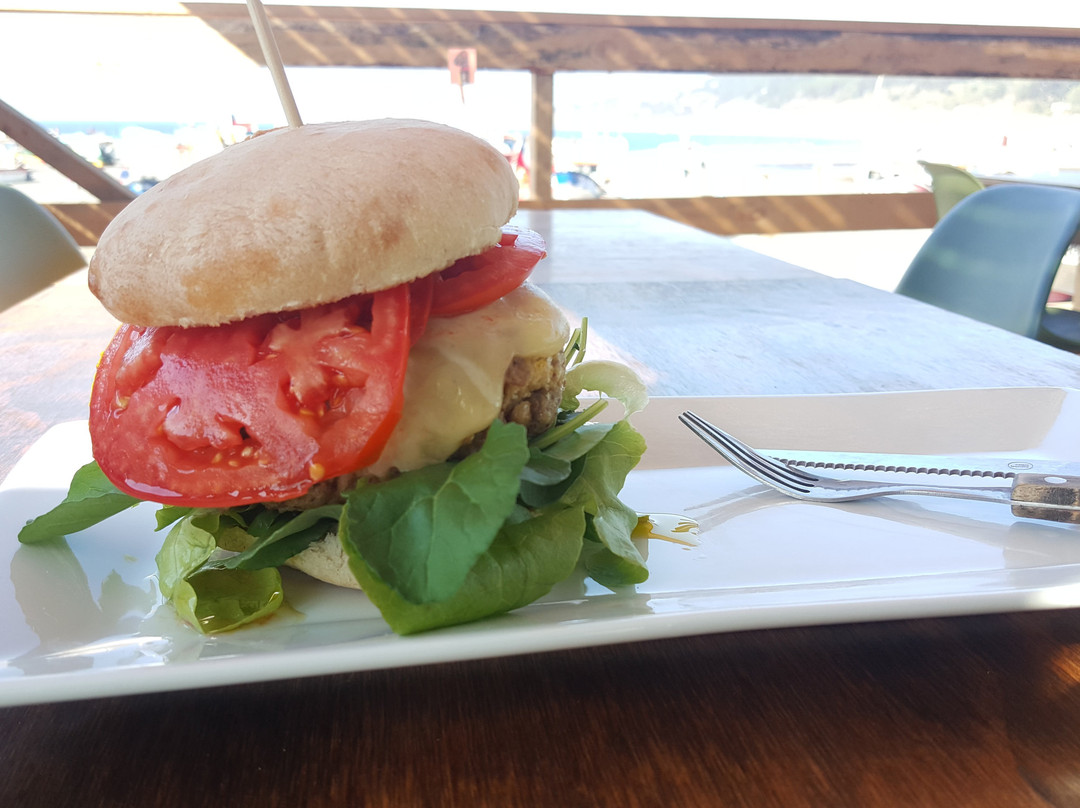 Maule Region餐馆和美食-El Grillo Restoran