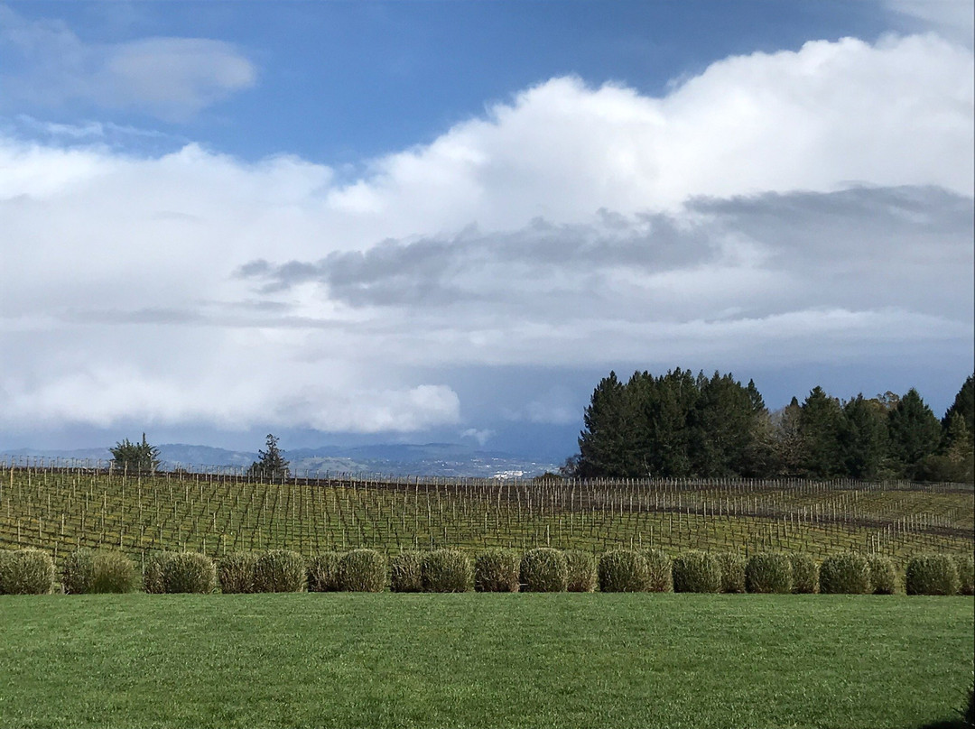 Paul Hobbs Winery景点图片