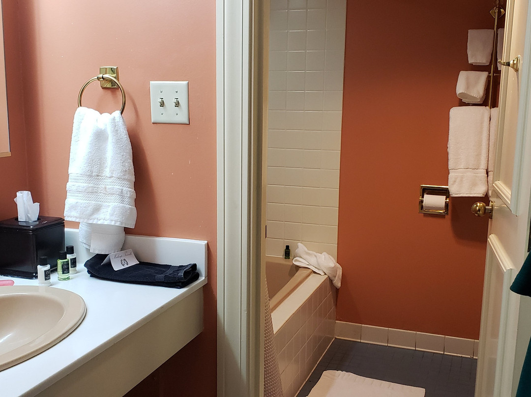 The Remington Suite Hotel & Spa主图