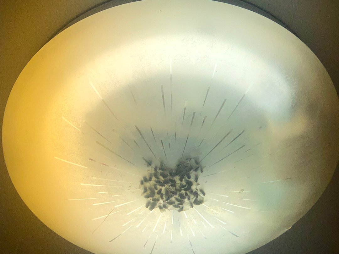 Casa Santa Maria主图