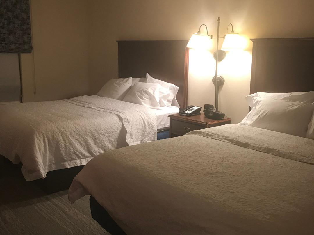 Hampton Inn Harrisonburg - South主图