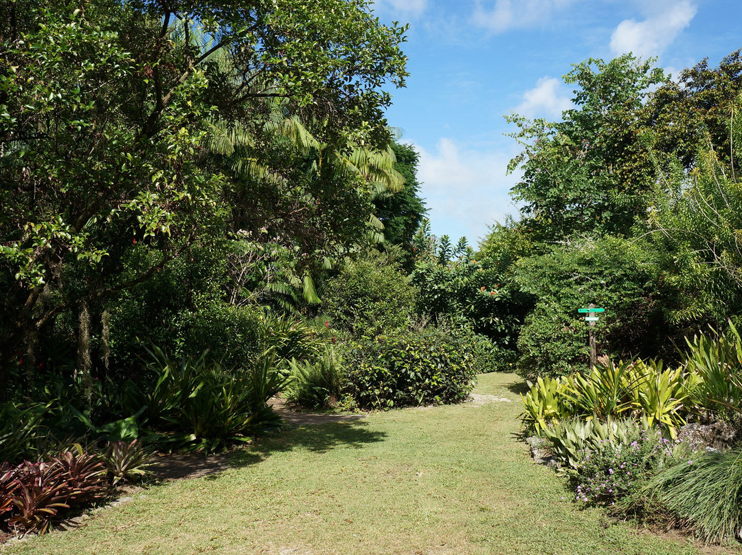 Jardin Botanique de Guyane-Macouria必去景点