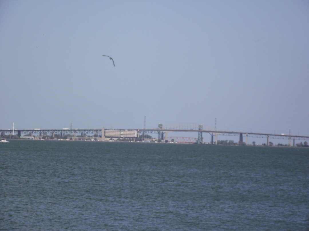 Pier 4 Park景点图片