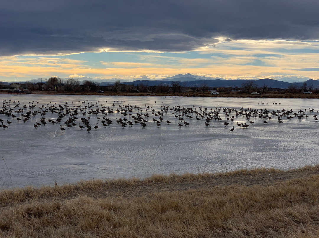 Windsor Lake-Windsor必去景点