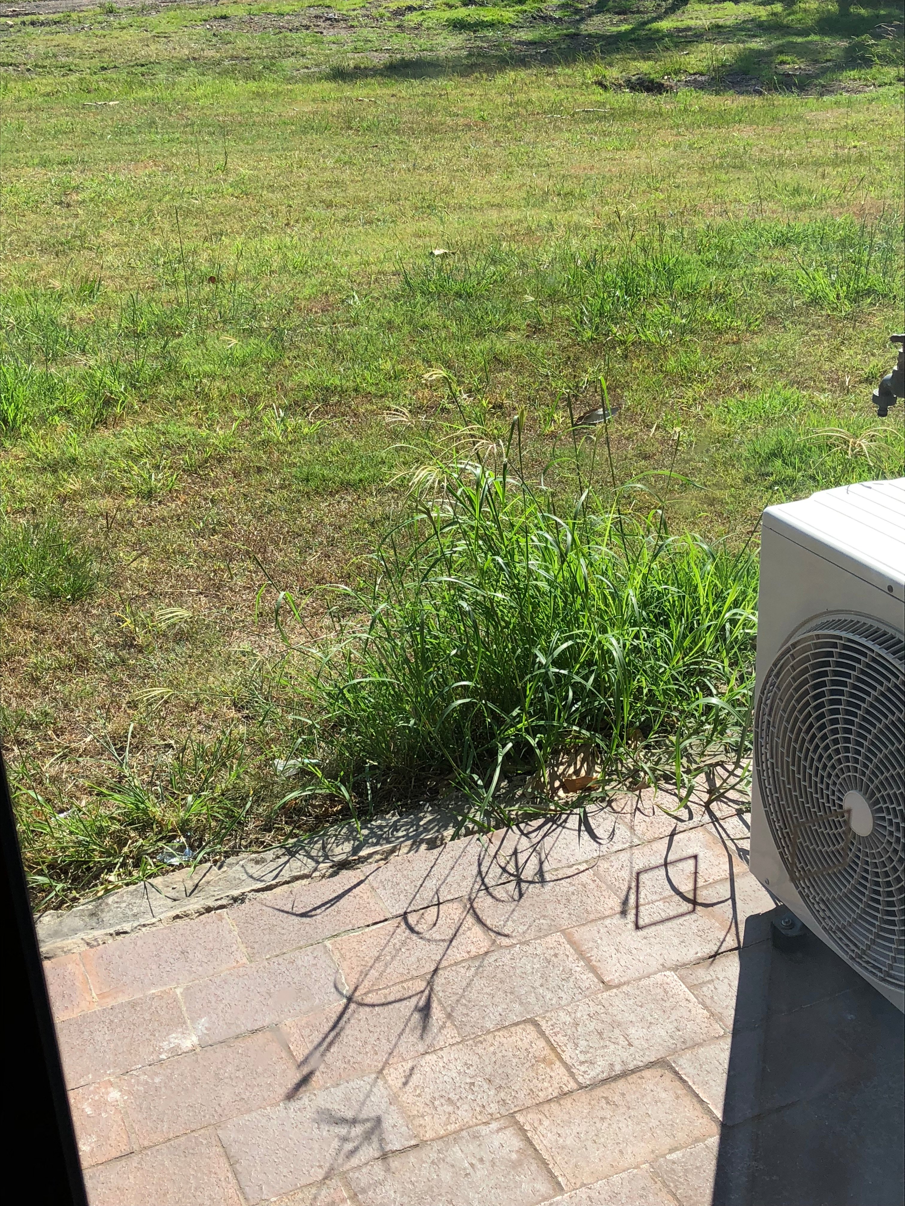 棕榈岛汽车旅馆-酒店景观