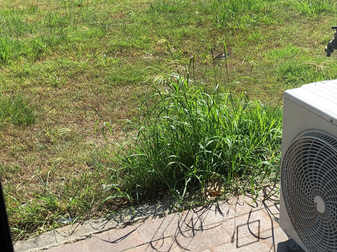 棕榈岛汽车旅馆主图