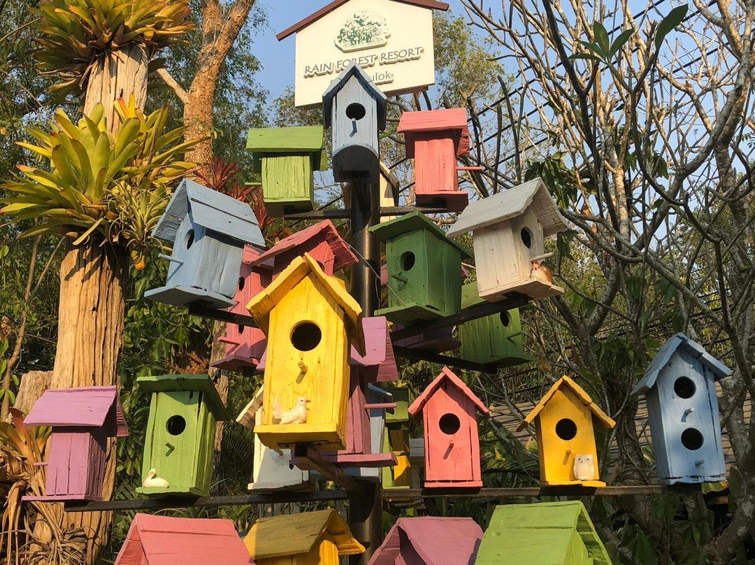 热带雨林度假村主图