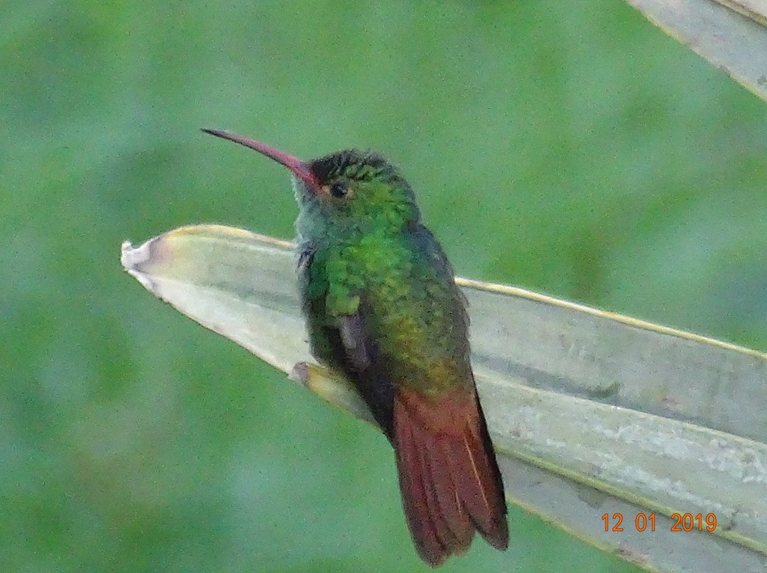 The Tranquilo Lodge主图