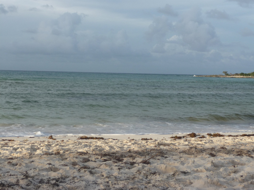 Hotel Brisas Covarrubias主图