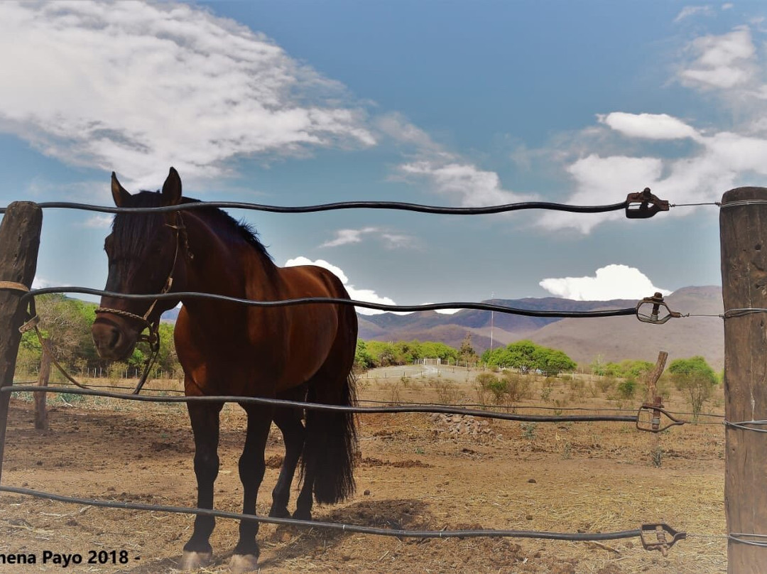 Encanto Salteno-萨尔塔必去景点