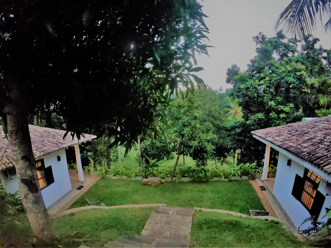 The Jungle Loft主图