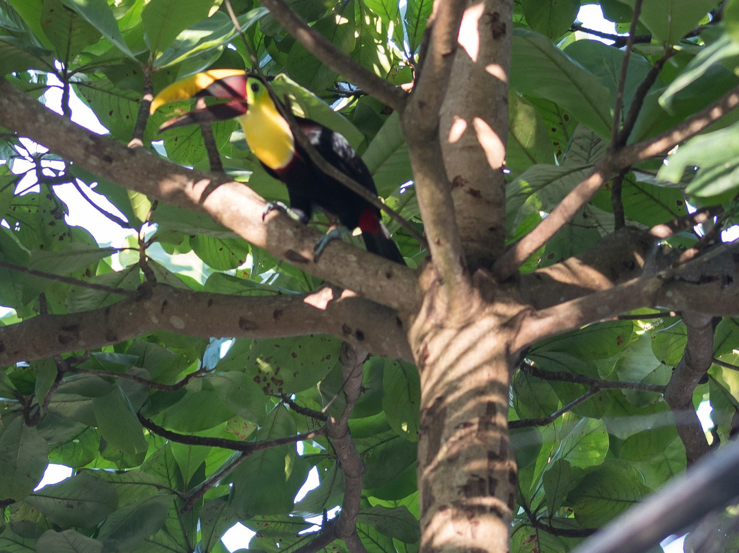 Cabinas Jimenez主图