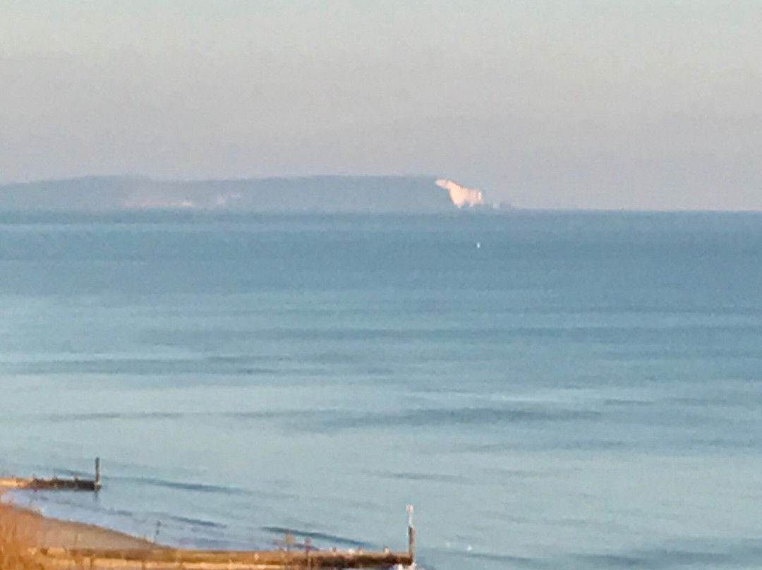 The Polar Bear on the Isle of Wight