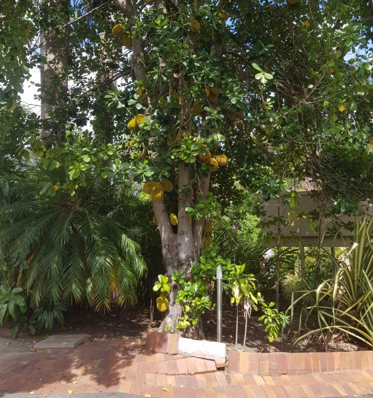 班达伯格乡村舒适酒店主图