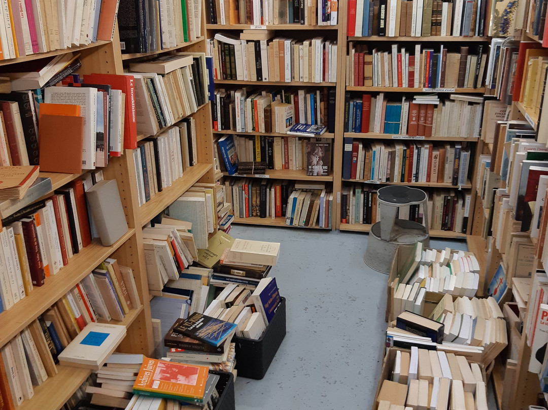 Librairie de L'Avenue-圣旺必去景点