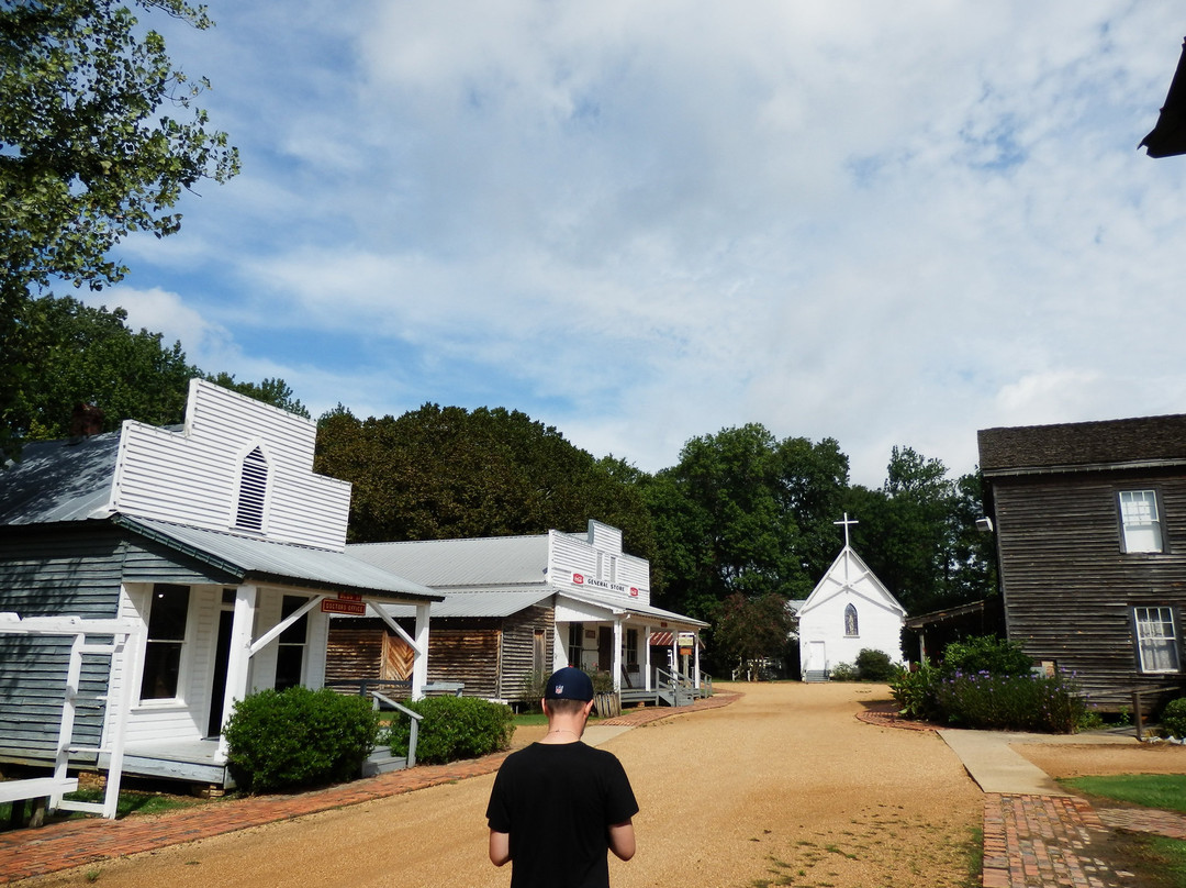 Mississippi Agricultural & Forestry Museum景点图片