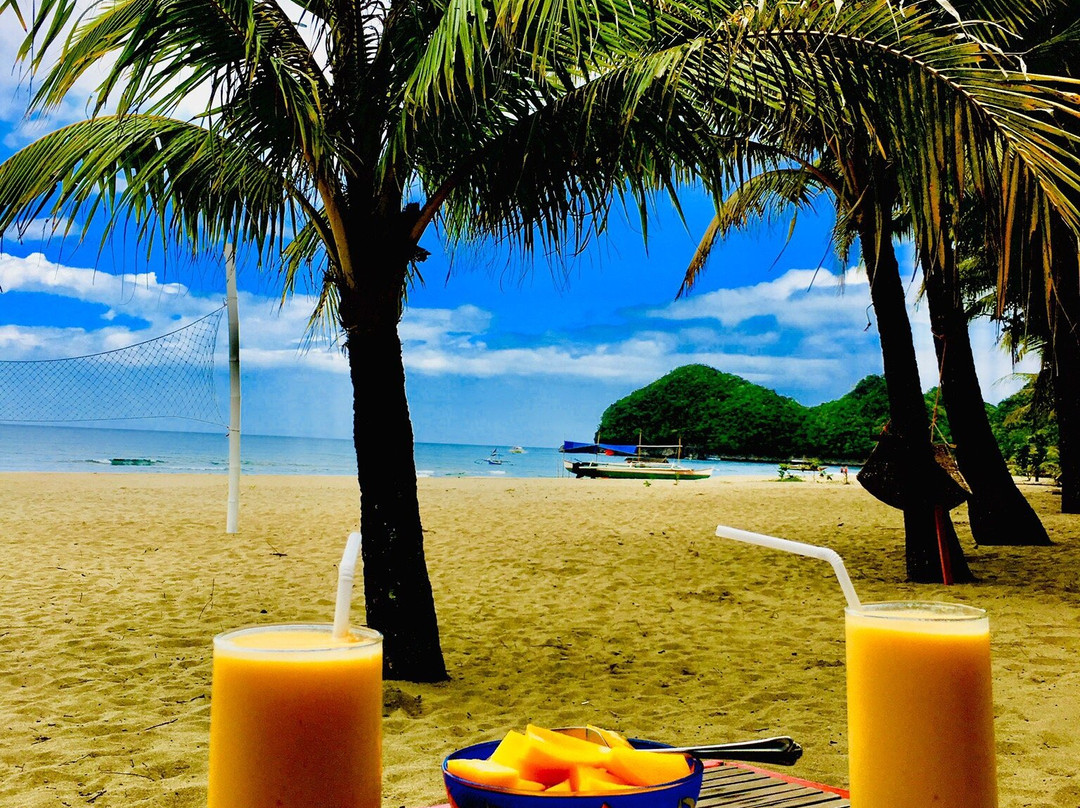 Bermuda Beach Resort主图