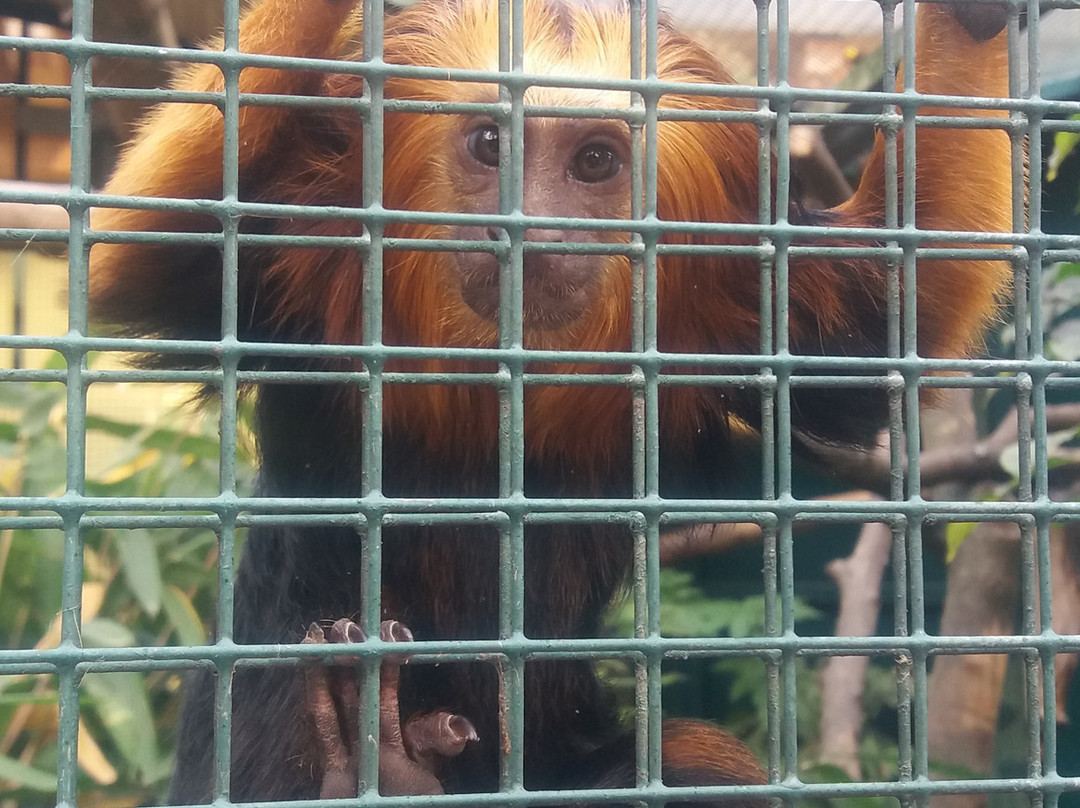 Tierpark-威滕伯格必去景点